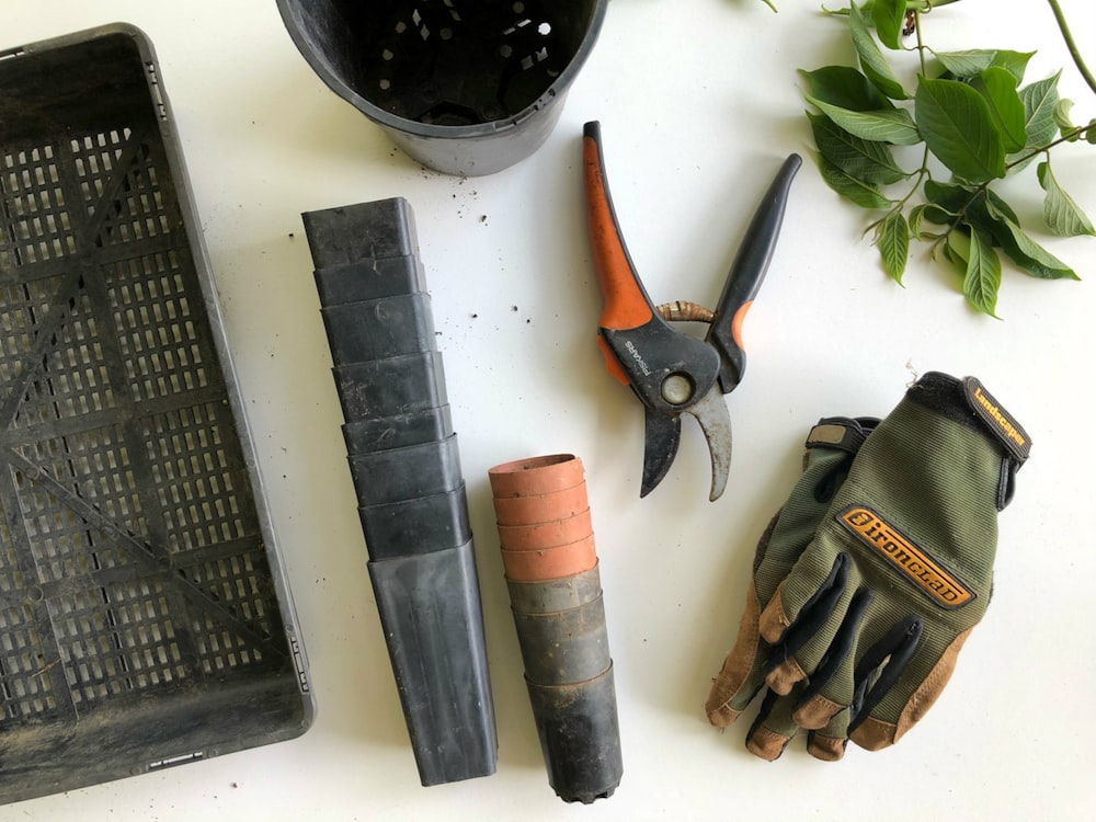 black pruning shears beside green gloves