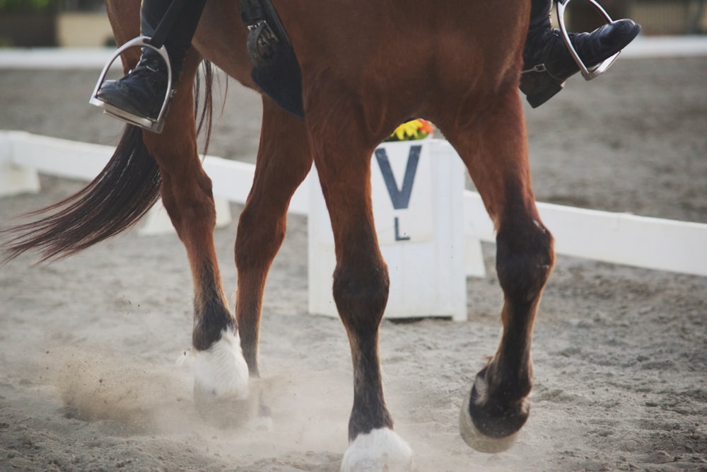 photograph of running horse