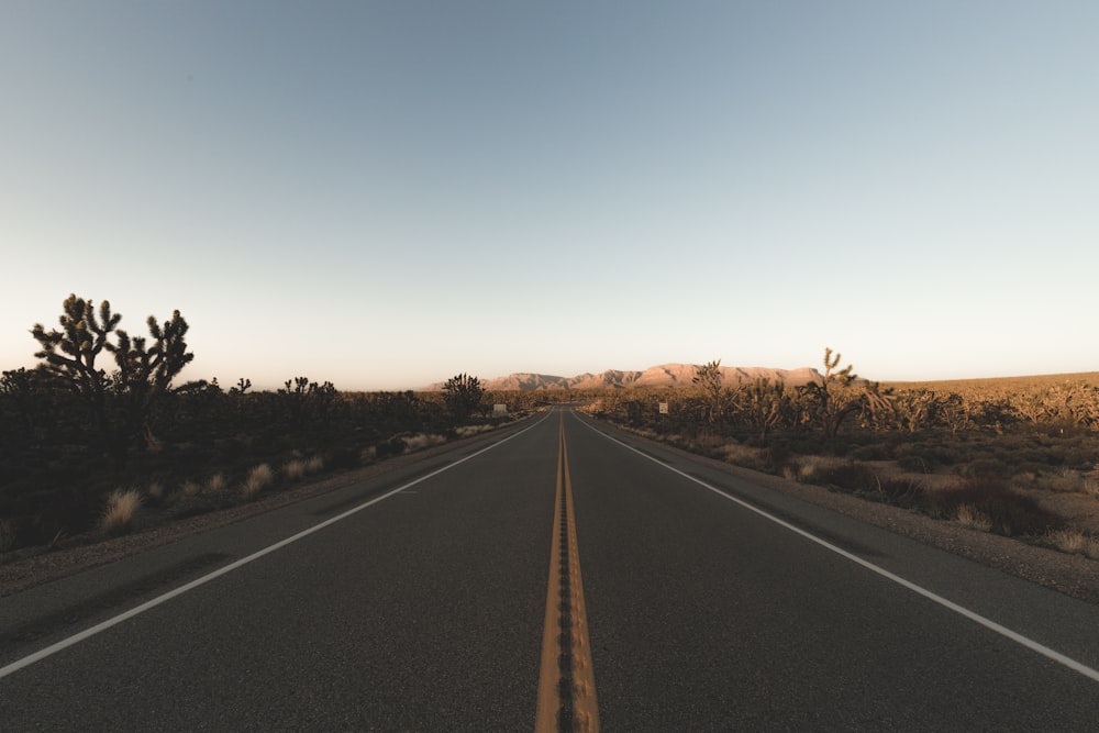 road between field towards mountain