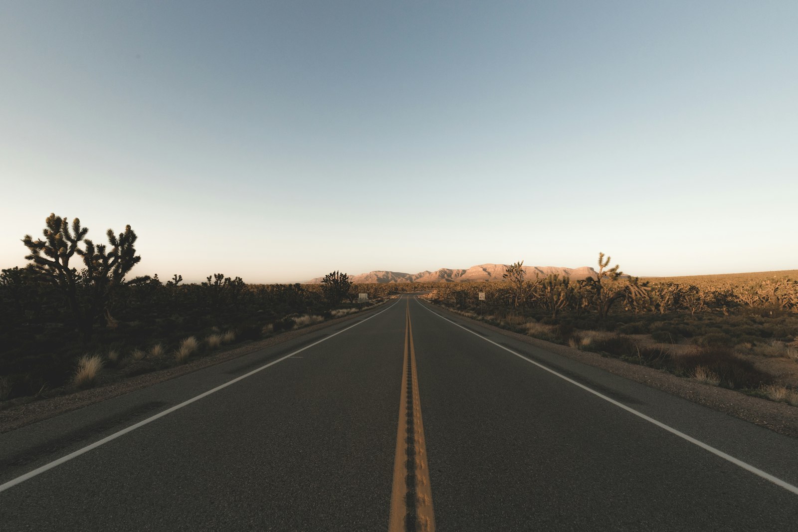 Canon EOS 6D Mark II + Canon EF 16-35mm F4L IS USM sample photo. Road between field towards photography