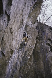 Sturdy knee pads strapped on a climber ascending a steep cliff.
