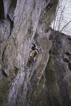 Sturdy knee pads strapped on a climber ascending a steep cliff.