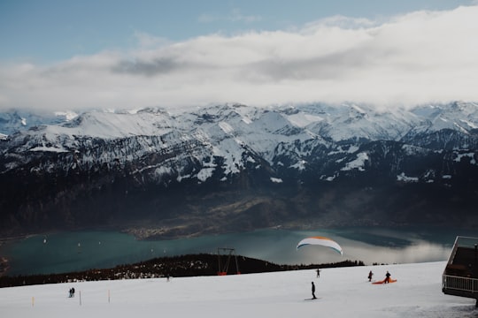 people skiing on snowy mountain slope in Niederhorn Switzerland