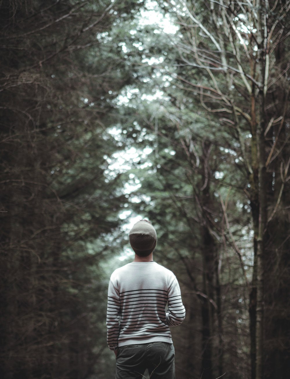 man standing between trees during daytime