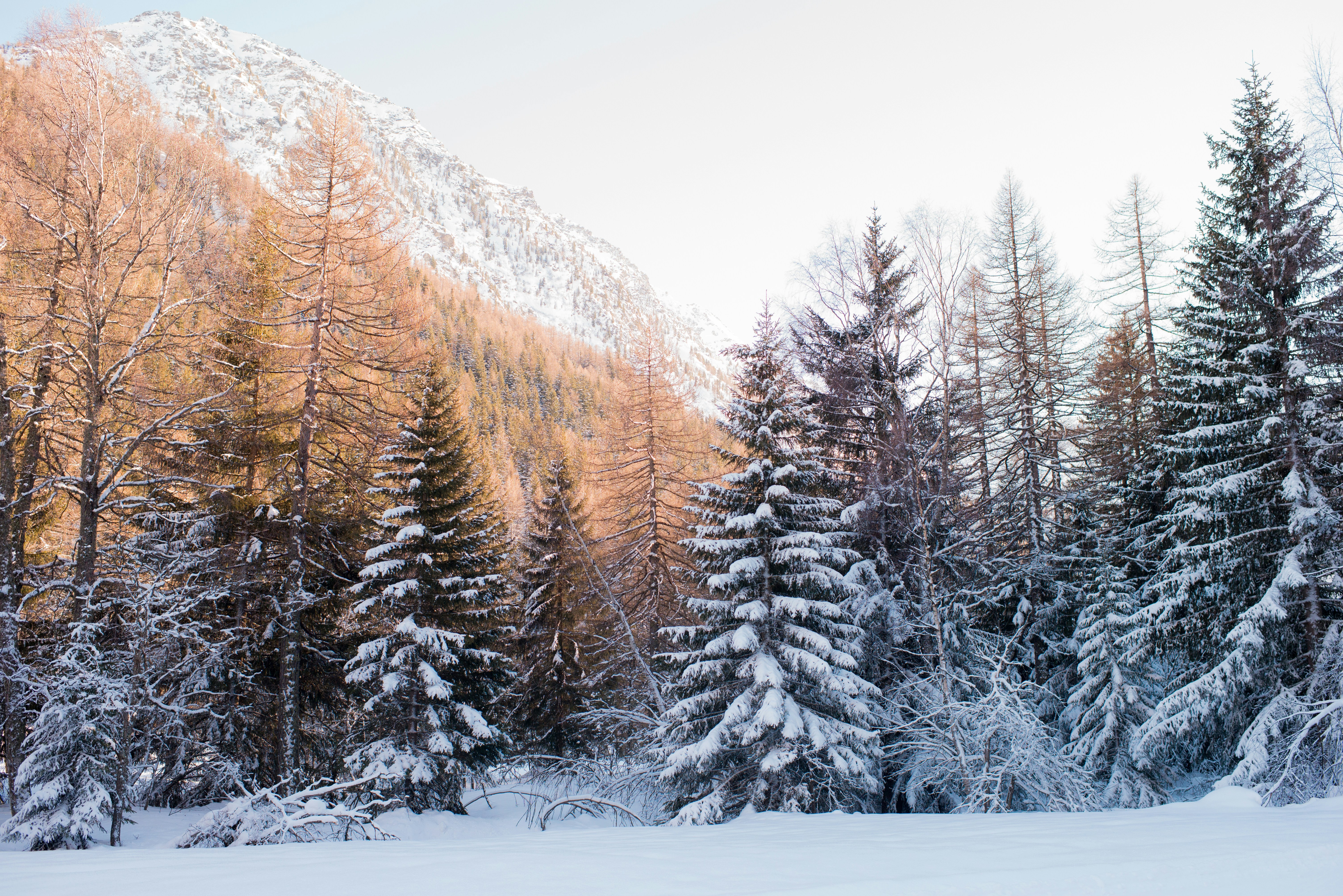 Photo by alessandracaretto