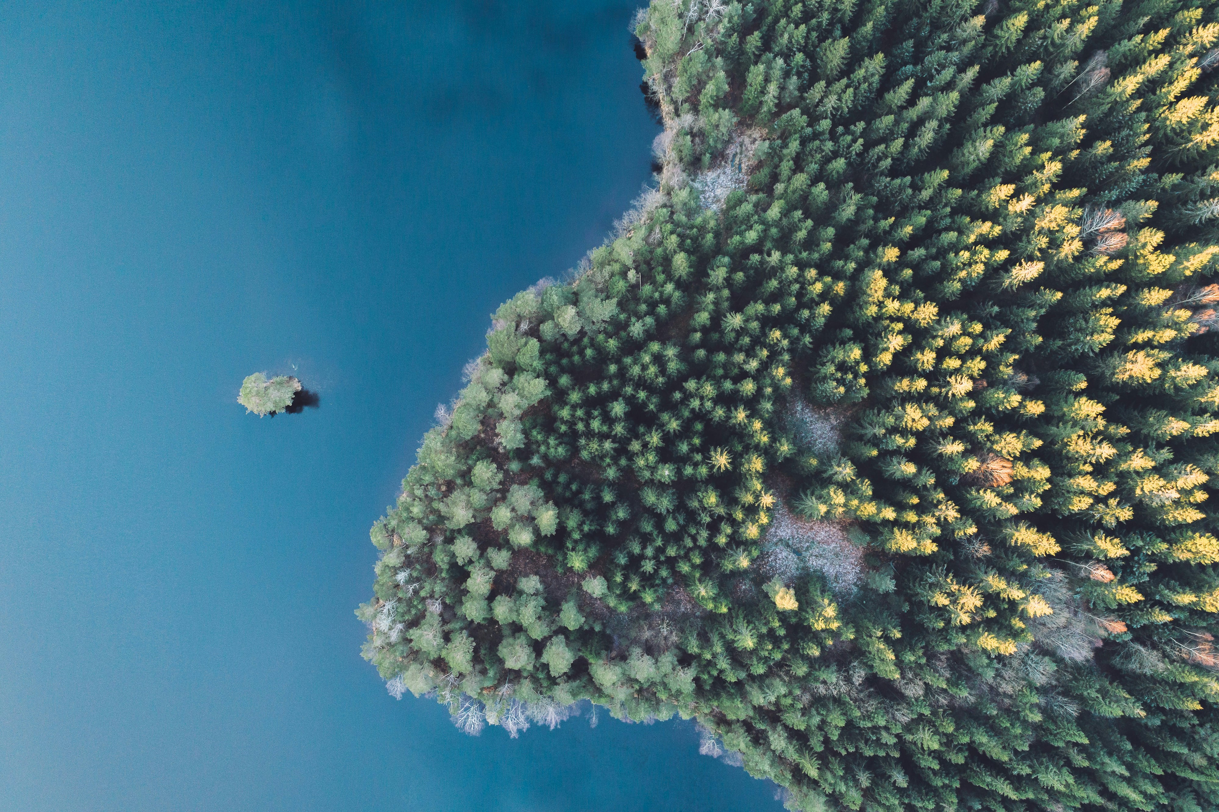 Photo by jonasjacobsson