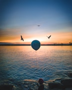 three silhouette of birds over body of water