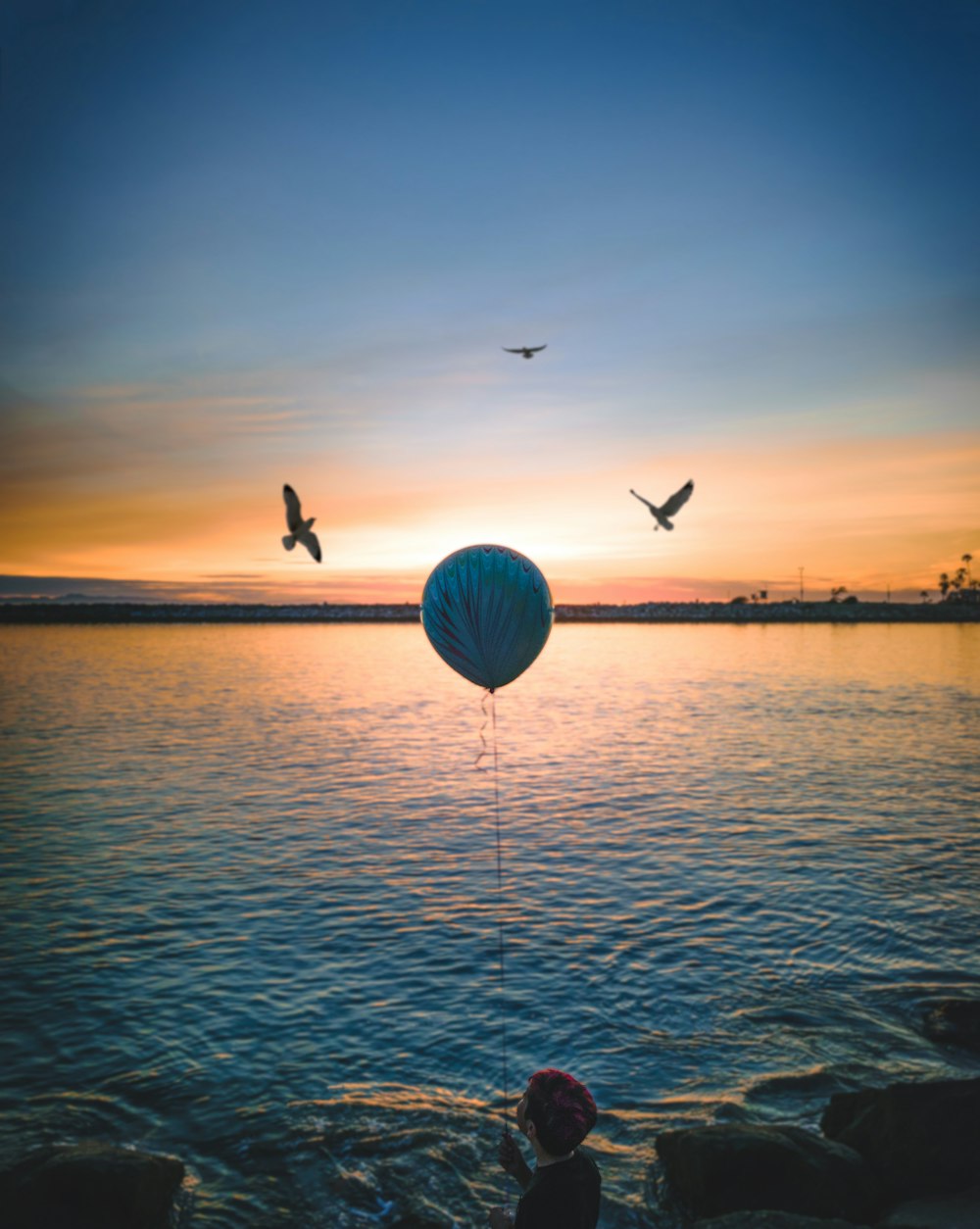 three silhouette of birds over body of water