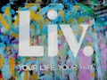 The image features a vibrant graffiti-style background with splashes of blue, yellow, pink, and green colors. Superimposed on this colorful backdrop are the large white letters 'Liv.' and the phrase 'YOUR LIFE YOUR WAY.' in additional white text.