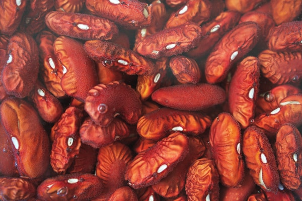 Dried brown seeds