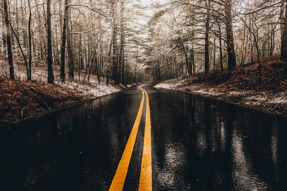 雨が降っている間のアスファルト道路の風景写真