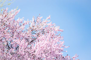 April Fool’s Day is more than just a day for pranks