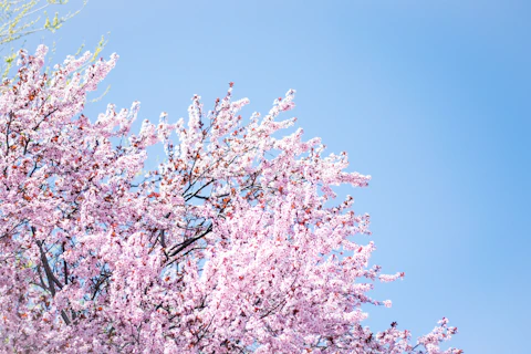 April Fool’s Day is more than just a day for pranks