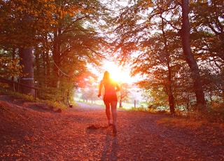 silhouette of person standing near trees