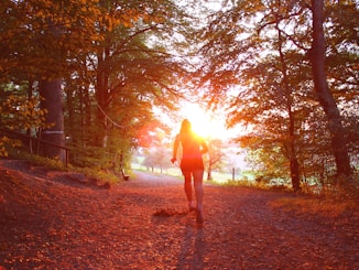 silhouette of person standing near trees