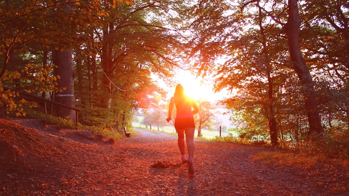 silhouette of person standing near trees