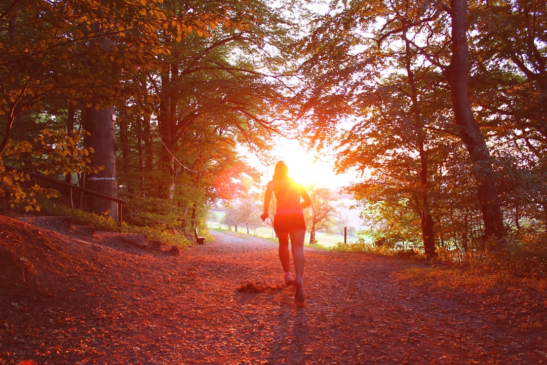 silhouette of person standing near trees, Sunset Runner