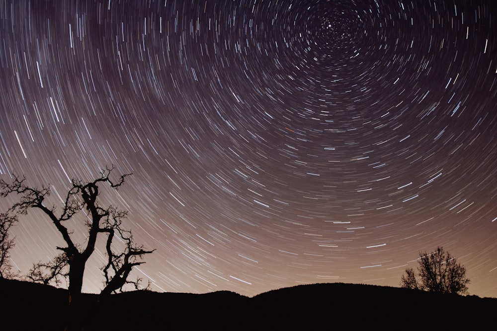 photo of star trail
