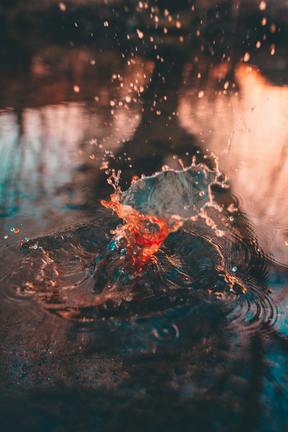 Photographie à mise au point peu profonde d’éclaboussures d’eau