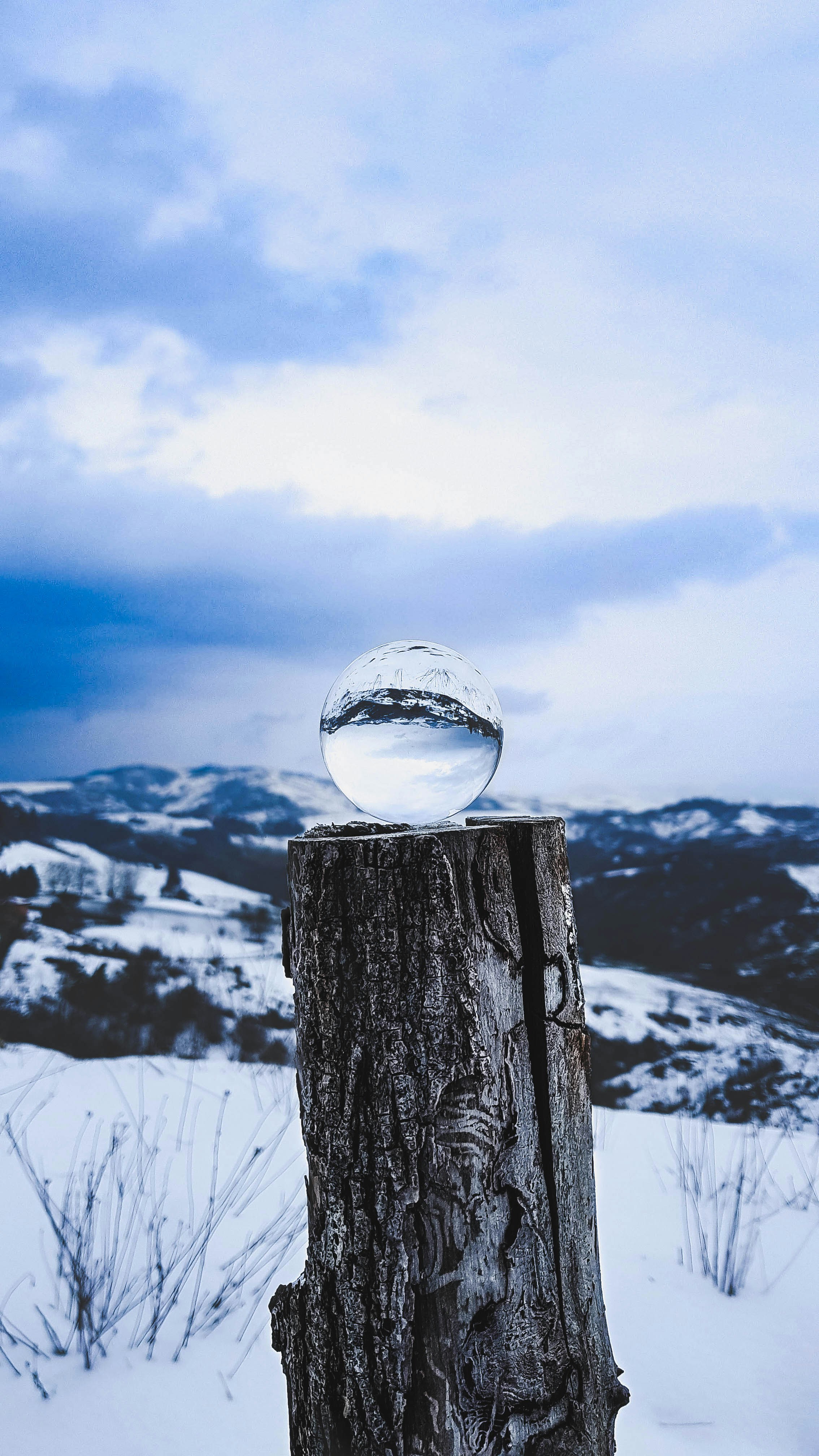 clear glass globe on tree log during daytime
