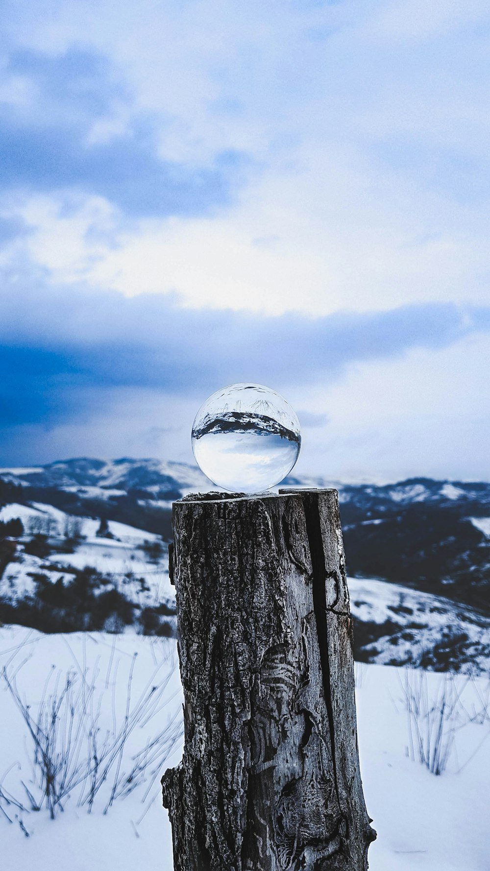 clear glass globe on tree log during daytime