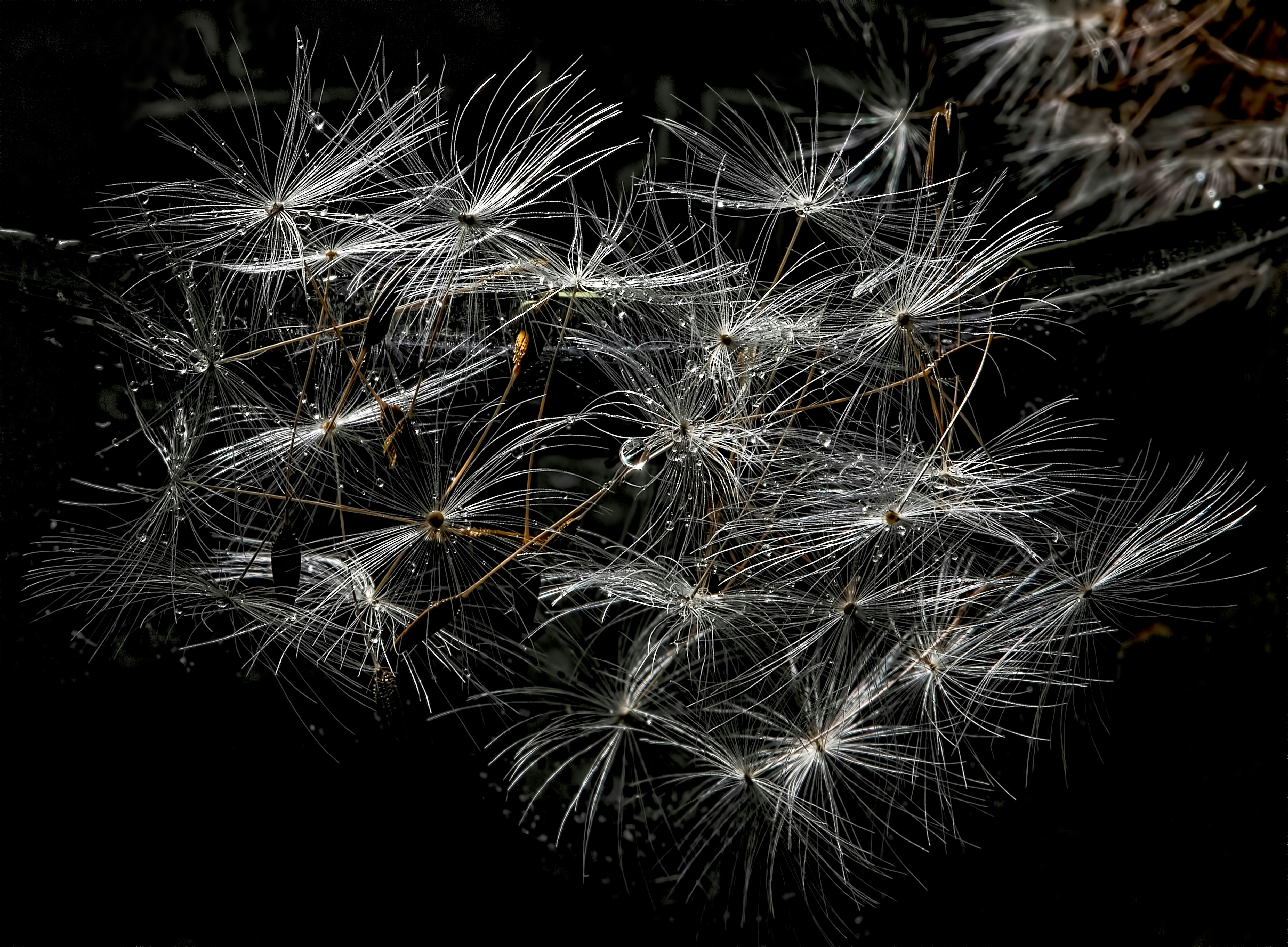 Photo by rgaleriacom