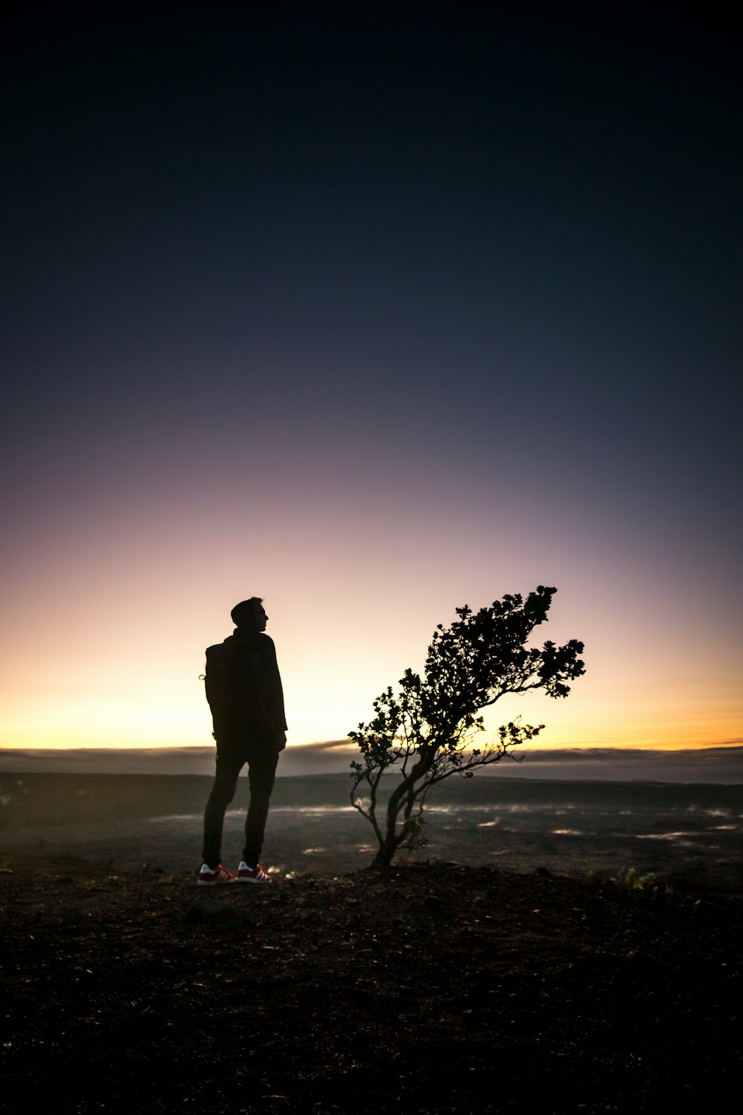 silhouette of man standing beside tree during sunset