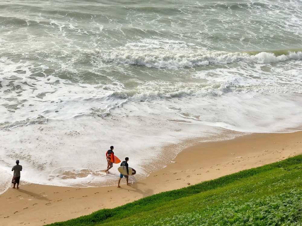 duas pessoas segurando prancha de surf enquanto caminham na costa durante o dia