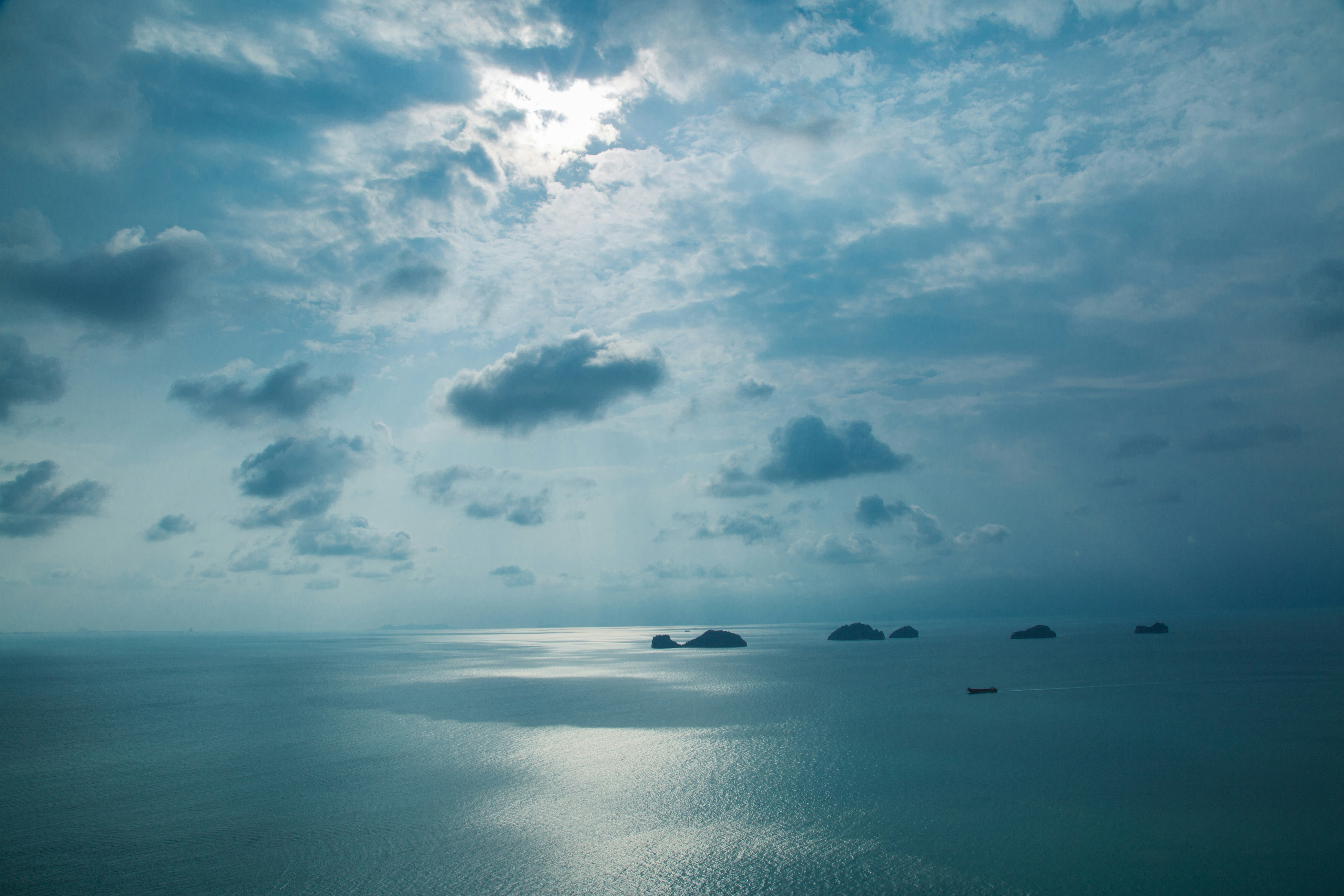 نرم افزار طراحی سایت open element