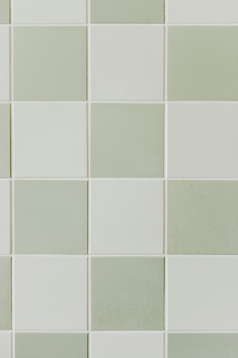 auckland tiler