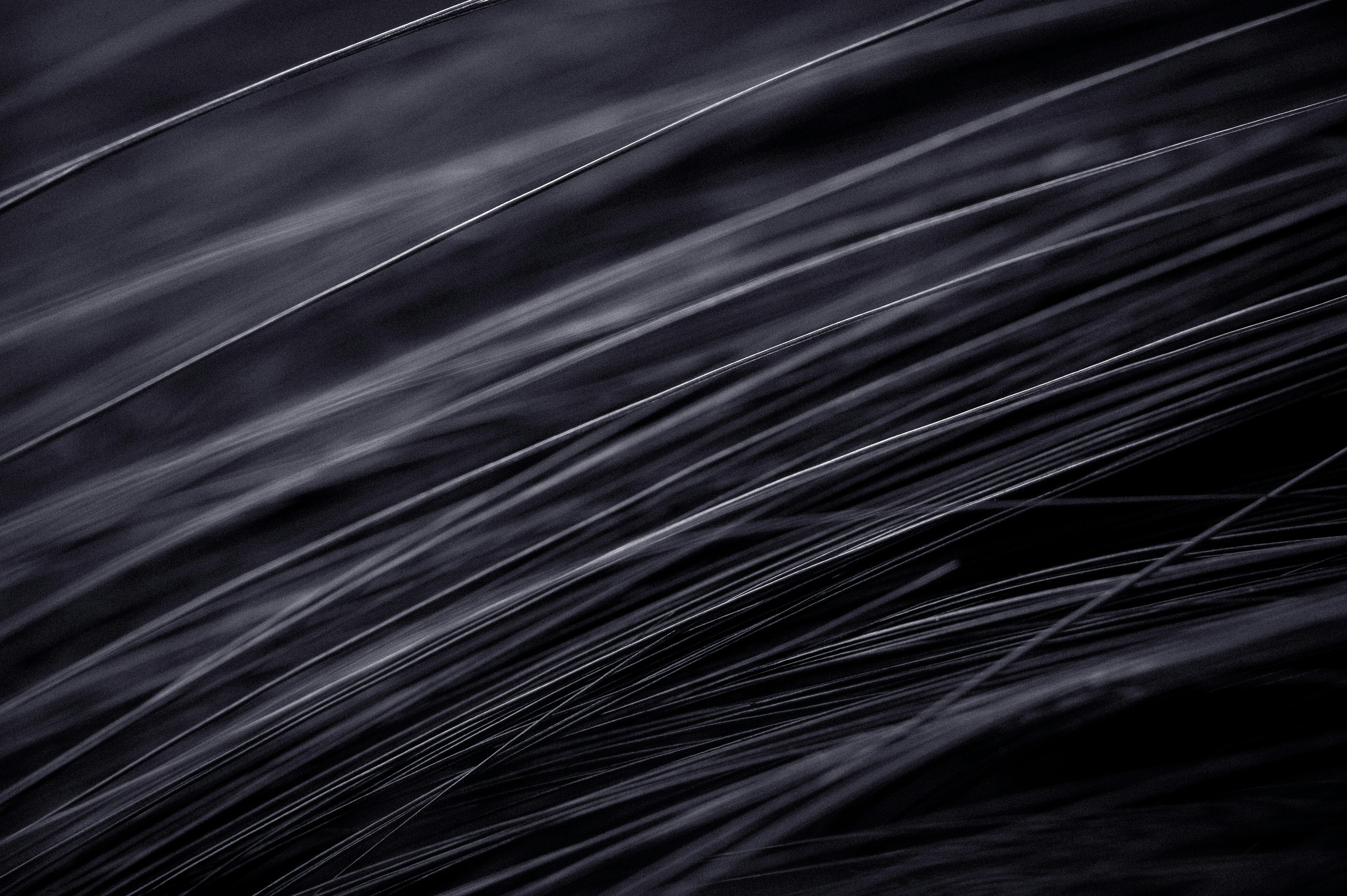 Photo by peek_a_boo_who