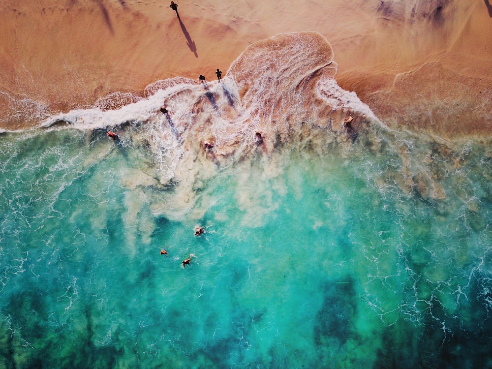 aerial view photography of people at seashore