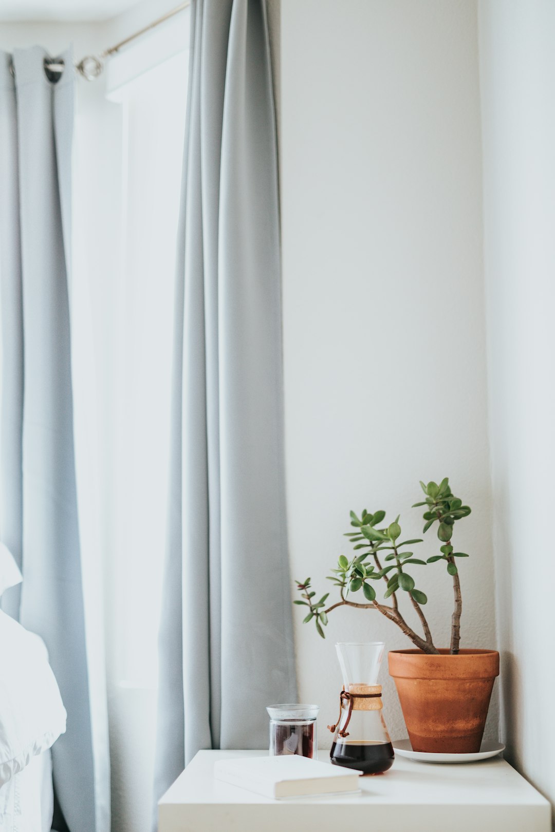  brown pot with green leafed plant on top of white wooden side table curtains