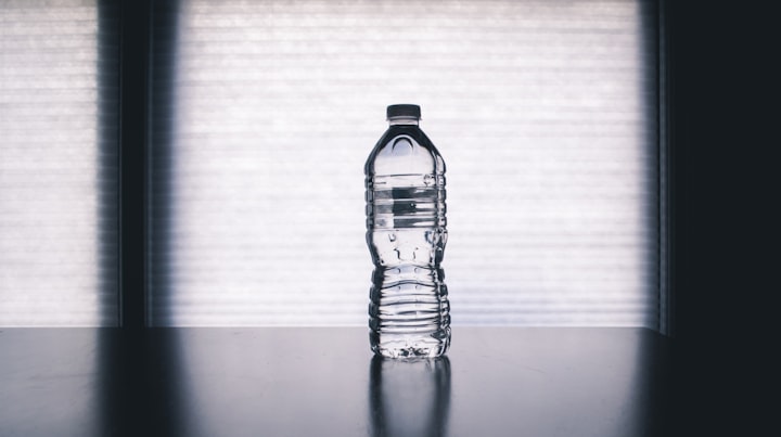 Water bottle: A must-have for any traveler