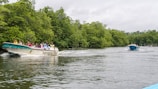 A group of travelers enjoying a boat trip on a calm river surrounded by lush greenery