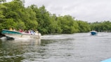 A group of people are traveling in a motorboat along a river surrounded by lush green trees. Another boat is seen in the distance on the right side of the river. The water is calm and reflects the overcast sky above.