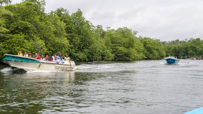 A group of travelers enjoying a private boat ride along a calm river surrounded by lush greenery.