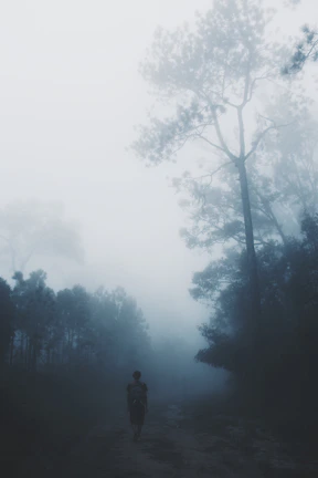 A cinematic still of a lone figure walking through a foggy forest path.