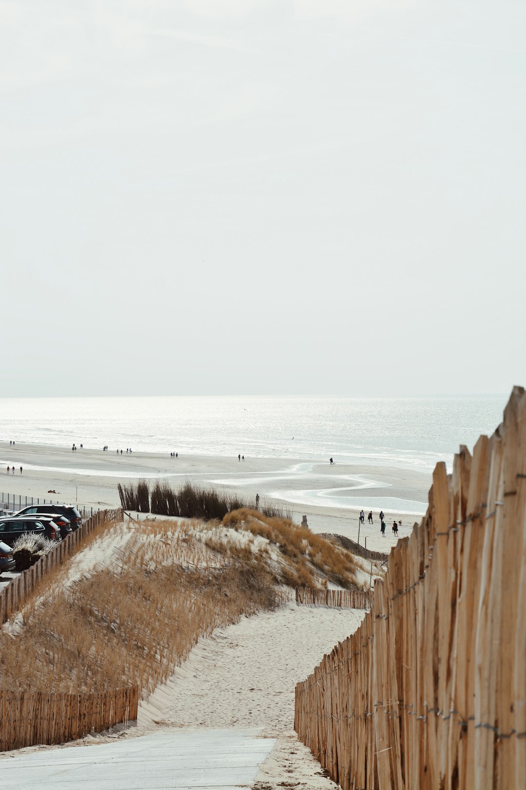 Beach photo spot Zandvoort De Hoge Veluwe (Nationaal Park)