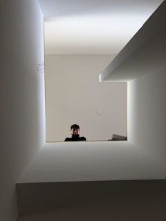 low-angle photography of man looking down from stair