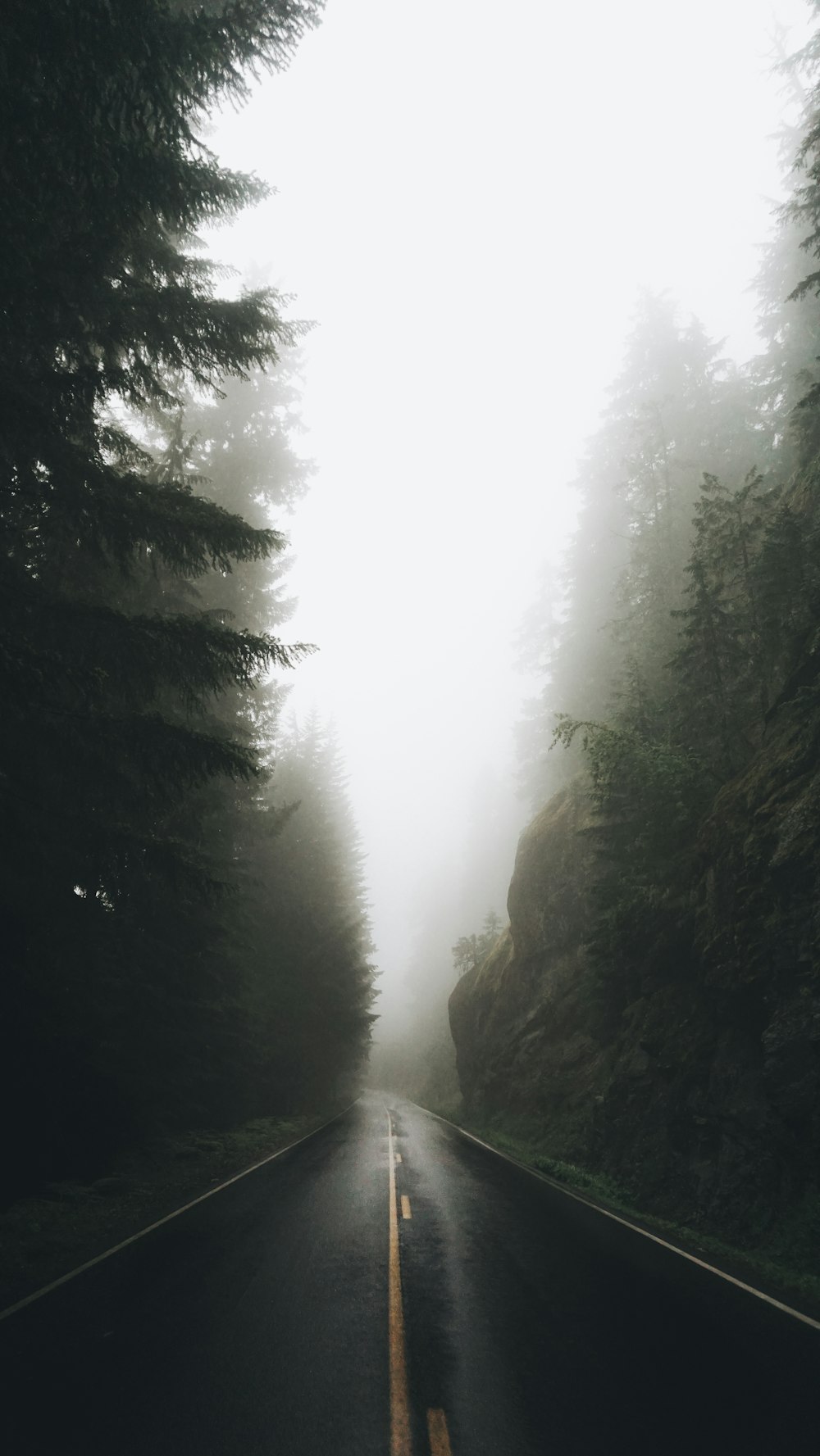 gray asphalt road near trees