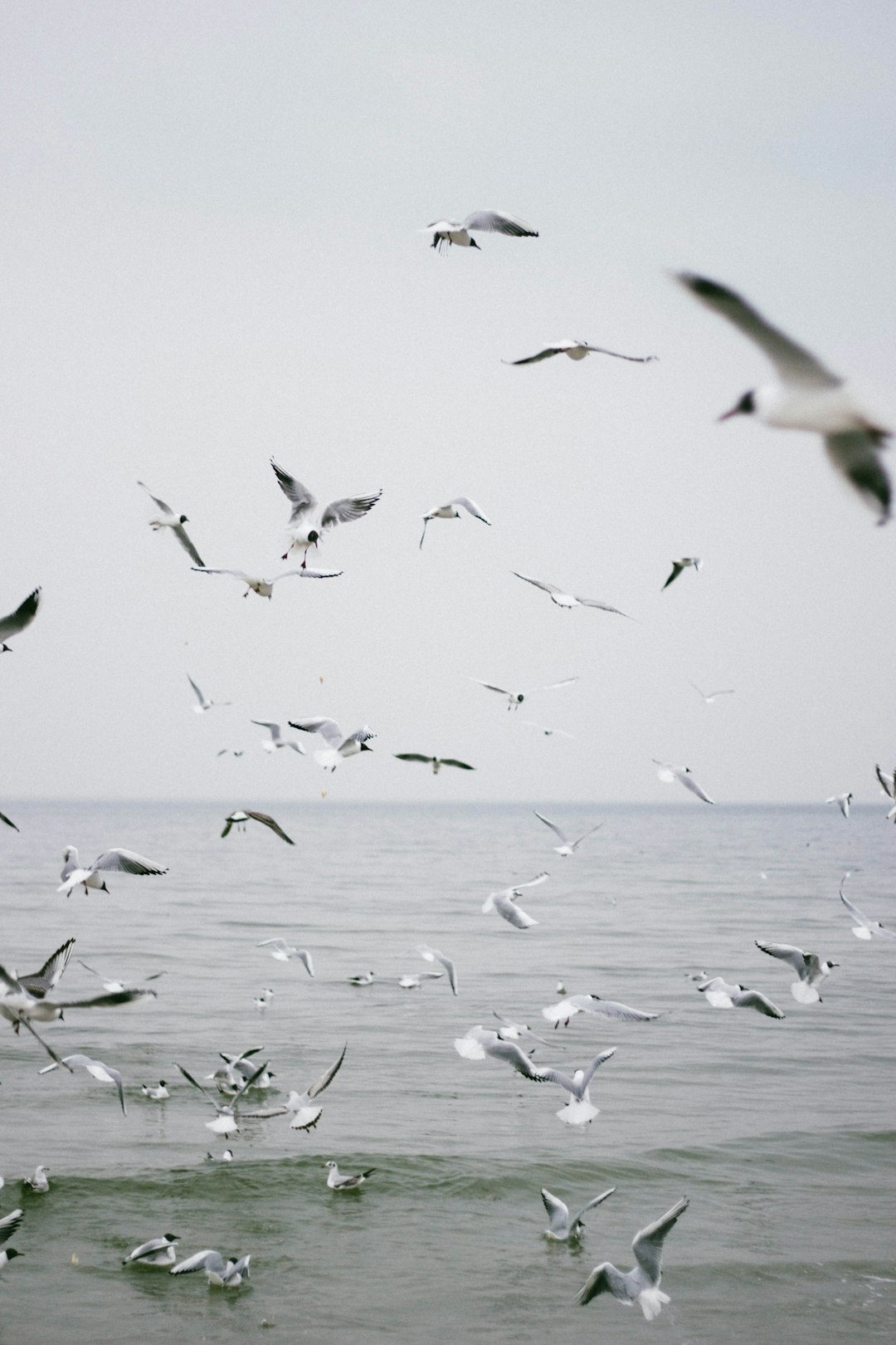 travelers stories about Ocean in Gdynia, Poland