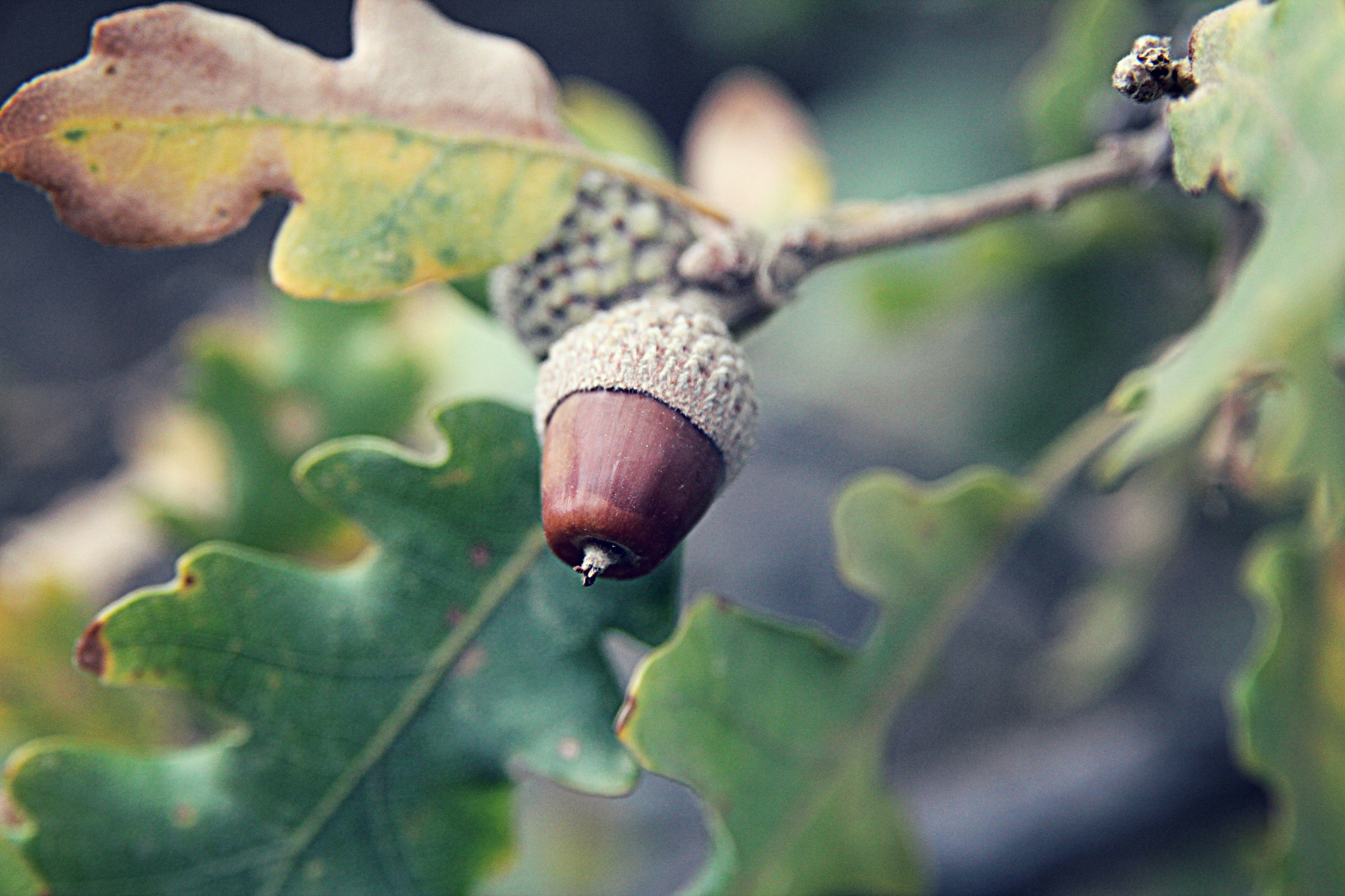 photo-1523393892799-9d3f81a5418c?ixlib=rb-1.2.1&ixid=eyJhcHBfaWQiOjEyMDd9&auto=format&fit=crop&w=1500&q=80