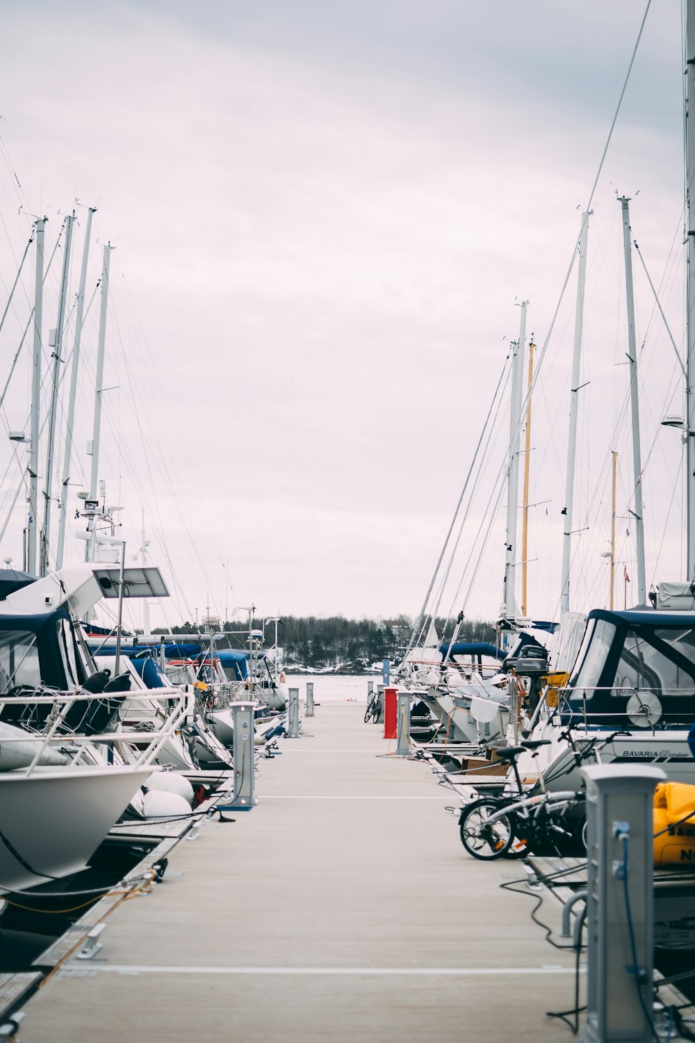 Muelle de barcos hacia la isla con árboles