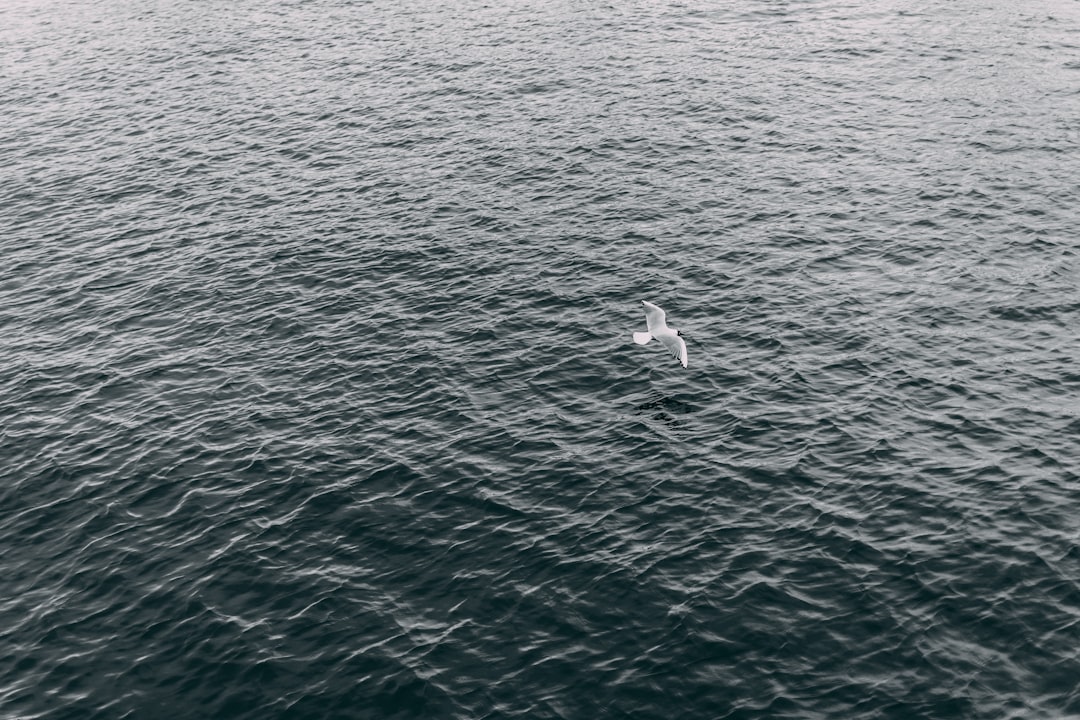 Ocean photo spot Astrup Fearnley Museum of Modern Art Kirsten Flagstads Plass 1