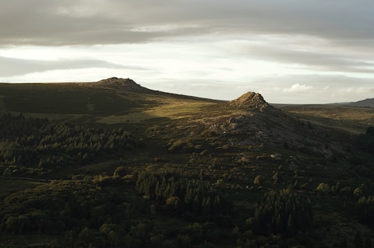 landscape photography of green mountain in Burrator Reservoir United Kingdom