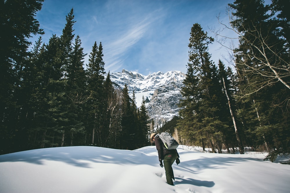 person walking in forest covered in snow