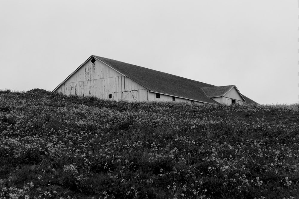 grayscale photography of house surrounded of flowers at daytime