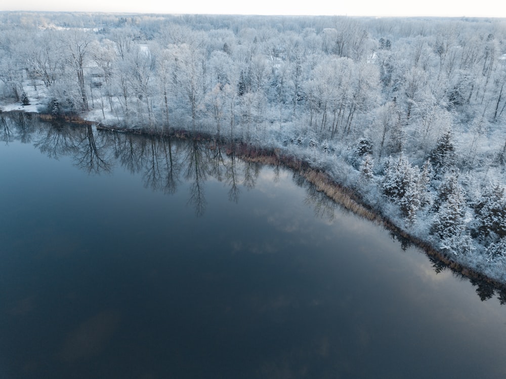 trees covered by snow near body of water