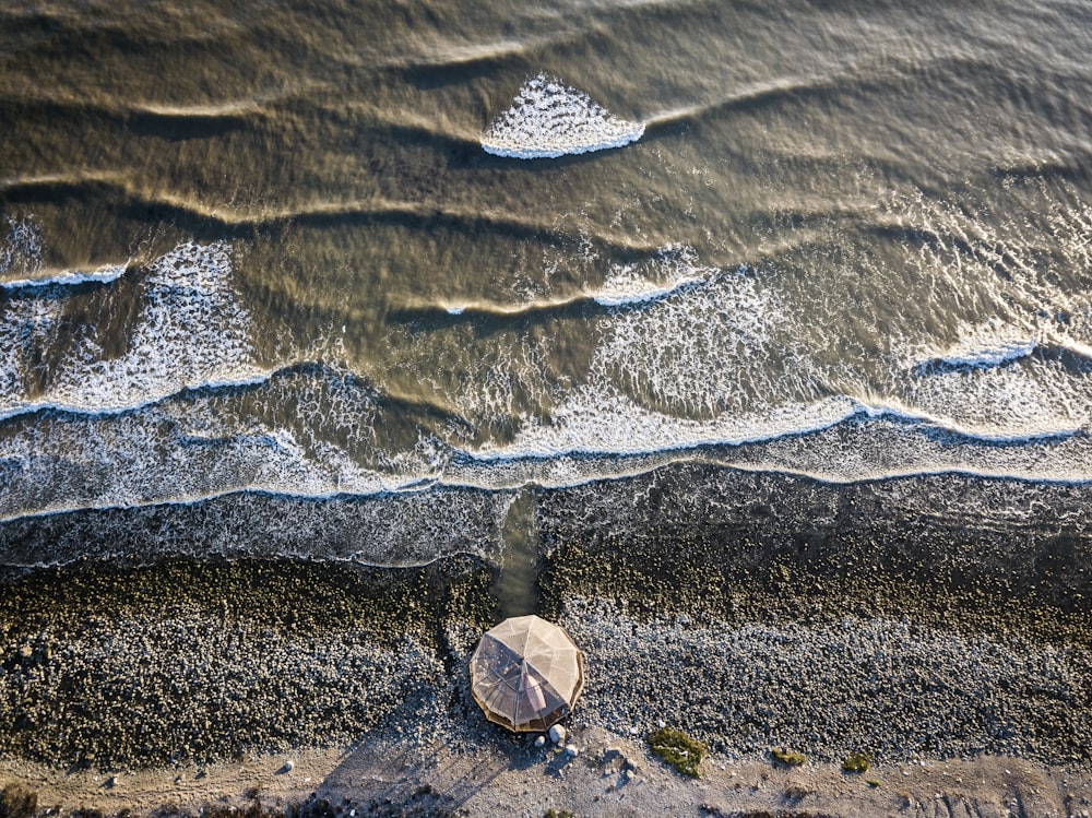 person holding umbrella on seashore